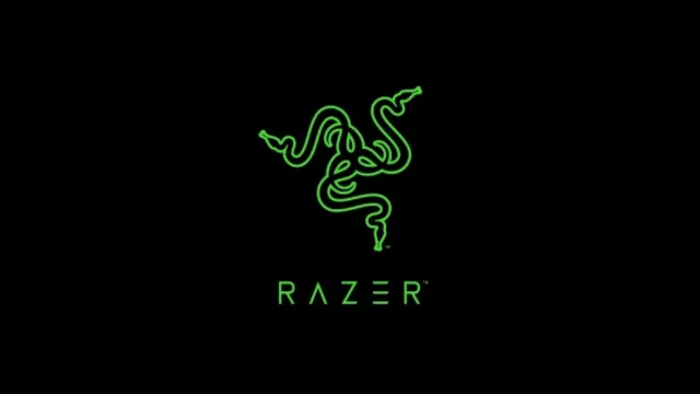 Razer Saldırı Altında
