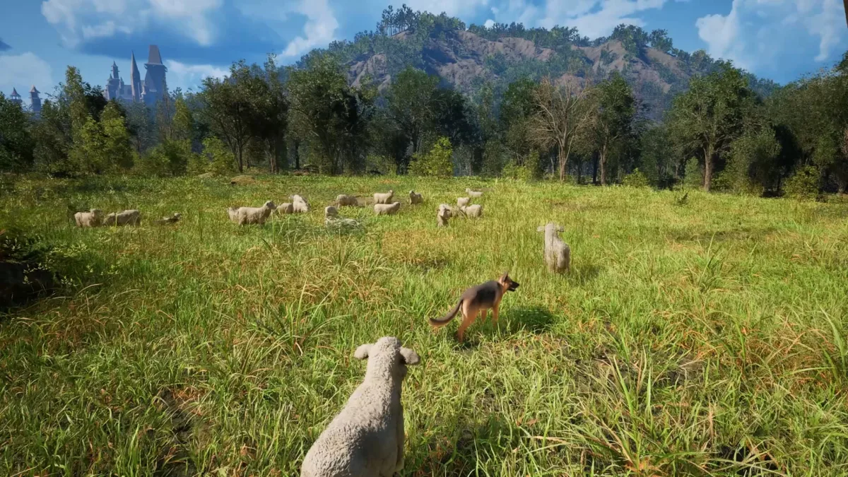 Türk yapımı Medieval Shepherd'ın demosu Steam'de