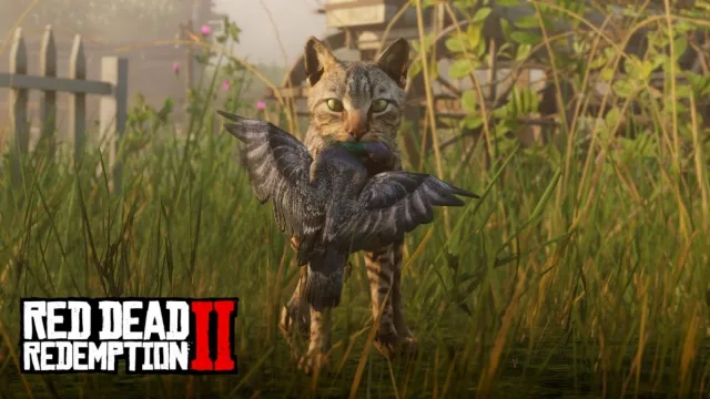 Red Dead Redemption 2: Kedi Etkileşim Sorunu