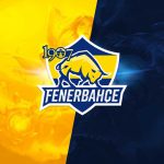 Fenerbahçe Espor