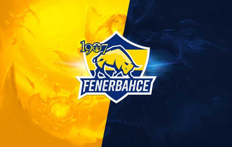 Fenerbahçe Espor