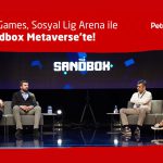 Petrolig Games - The Sandbox