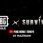 Pubg Mobile Survivor