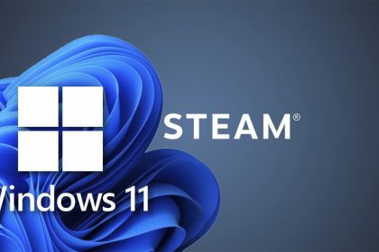 Steam Windows 11