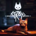 Stray