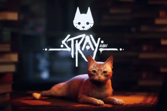 Stray